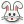 :bunny: